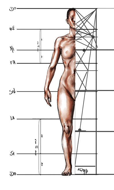 Anatomia femminile nell'ottava